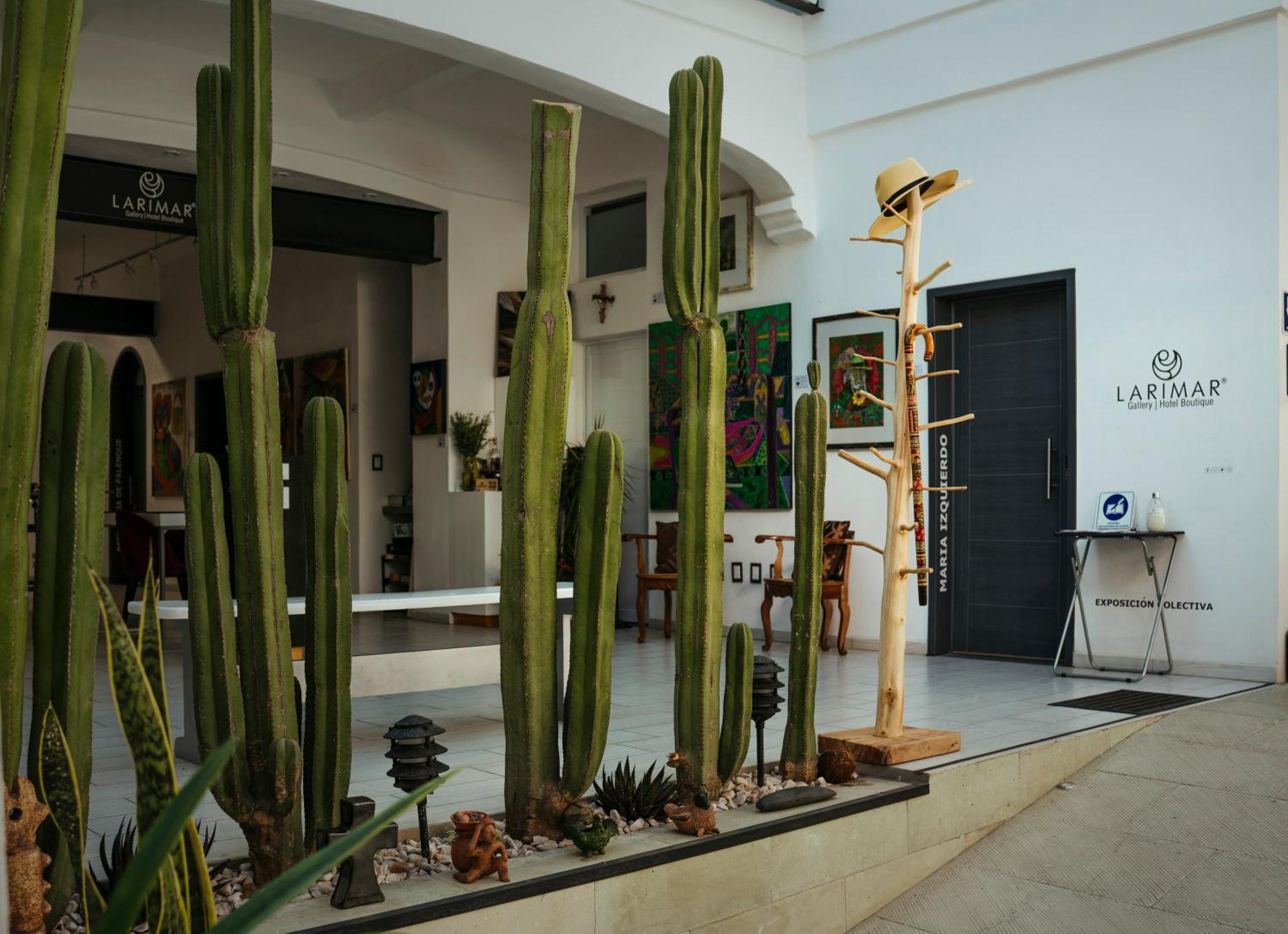 Larimar Gallery Y Hotel Boutique Oaxaca ภายนอก รูปภาพ